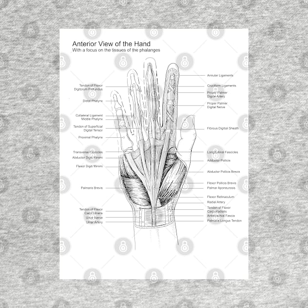 Black and White Hand Dissection Illustration by emadamsinc